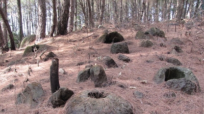 Wadagokgre