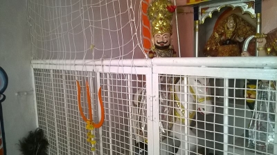 Shri Raj Mandir