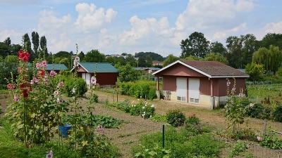 French Bungalow