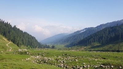 Peer Chattershah