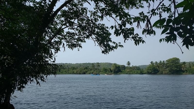 Karli Backwaters