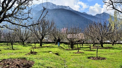 Bandipore