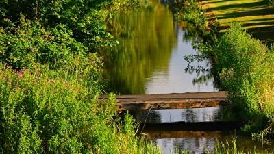Fiara Tui