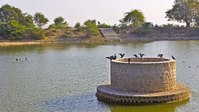 Gopi Talav