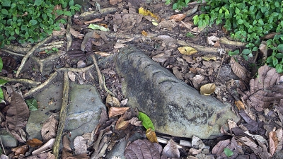 Chariot Route Marks