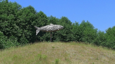 Fish Park