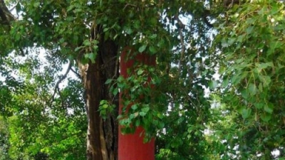 Jeypore Park