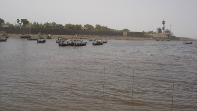 Kauncha