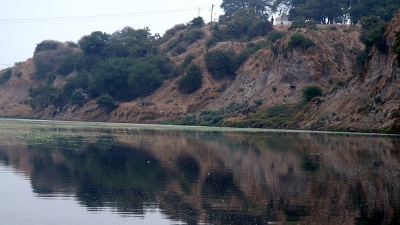 Siddhavat