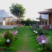 Jungle View Resort