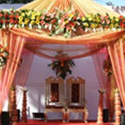 Usha Ascot