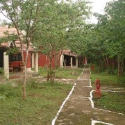 Tusker Trails