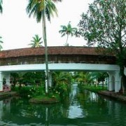 Coconut Lagoon