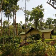 Machaan Resorts