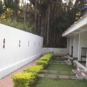 The Banyan Soul