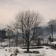 Neeralaya