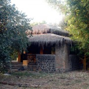 Bandhavgarh Meadows