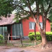 Jungle Inn Resort