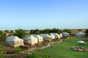 Tents at the resort Tents at the resort