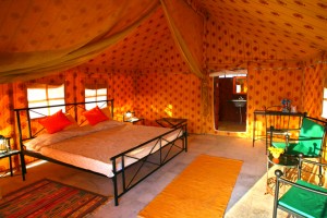 Room of the resort Room of the resort