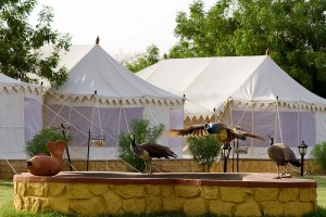 Tents at the resort Tents at the resort