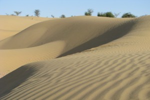 Sand dunes surrounding the resort Sand dunes surrounding the resort