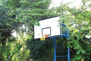 Basket ball court Basket ball court