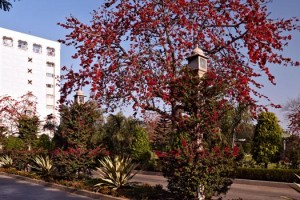 Hotel Hotel