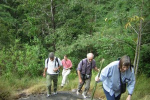 Trekking Trekking