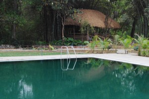 Pool view2 Pool view2