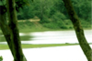 Nature Nature
