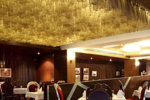 Sarangi restaurant Sarangi restaurant