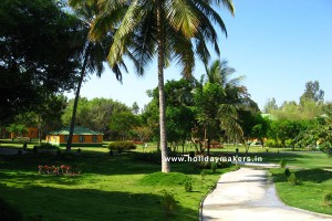 Lawn Lawn