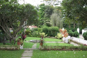 Garden2 Garden2