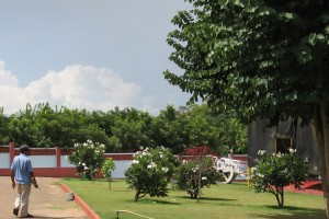 Lawns Lawns