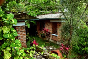 Hillside cottage1 Hillside cottage1