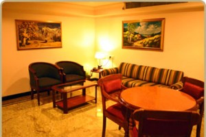 Living Area Living Area