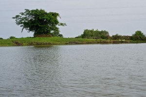 Serene Bank Serene Bank