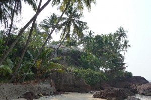 View-of-resort-from-beach View-of-resort-from-beach