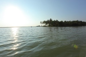 Sunrise Sunrise