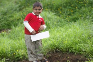 Planting a tree Planting a tree