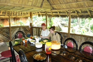 Food in woods view Food in woods view