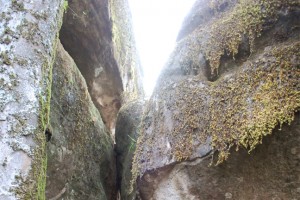 Stone view Stone view