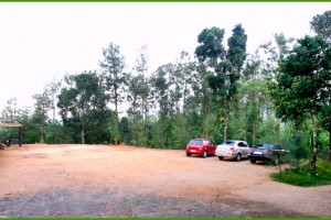 Parking Area beside the Restaurant Parking Area beside the Restaurant