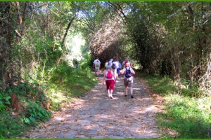 Trekking Trekking