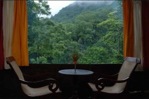 Wayanad Suite Wayanad Suite