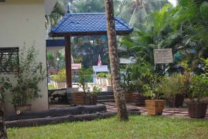 Ayurveda Centre and Swimming pool Ayurveda Centre and Swimming pool