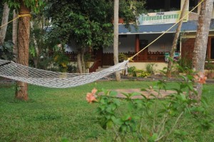 By the Ayurveda Centre By the Ayurveda Centre