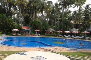 Palm grooves by the pool Palm grooves by the pool