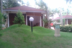 Undulating lawn Undulating lawn